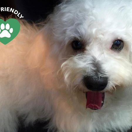 Bergamo Inn 15 מראה חיצוני תמונה The restaurant is pet friendly